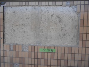 DSCN1735