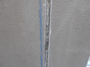 3) DSCN5382