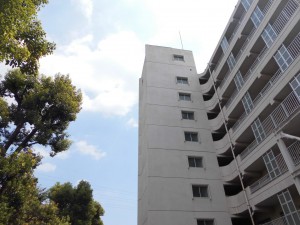 DSCI1274