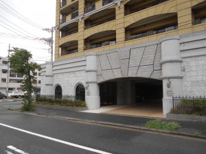 DSCN5764