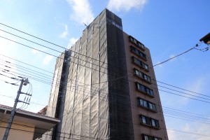 _MG_2360低