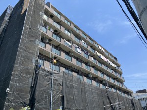 S__4669463