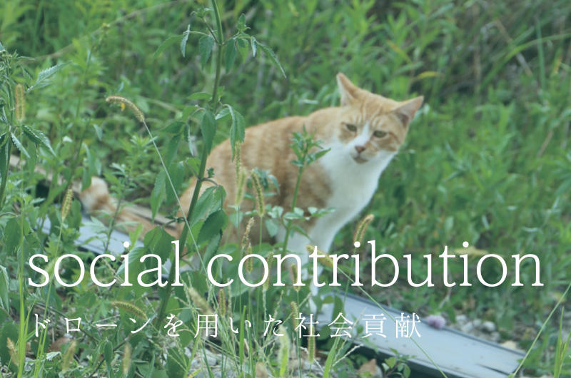 Social contribution ドローンを用いた社会貢献