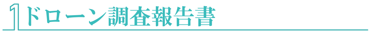 ドローン調査報告書